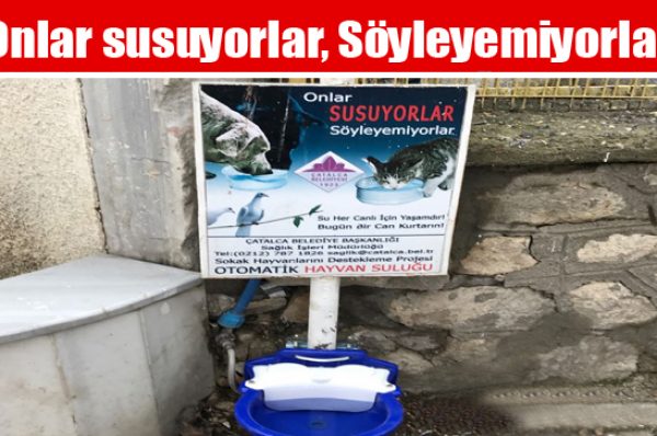 Onlar susuyorlar, Söyleyemiyorlar