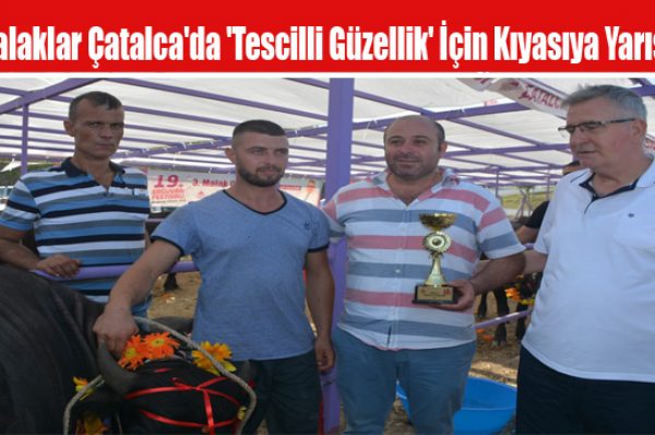 Malaklar Çatalca’da ‘Tescilli Güzellik’ İçin Kıyasıya Yarıştı