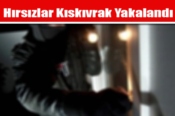 Hırsızlar Kıskıvrak Yakalandı